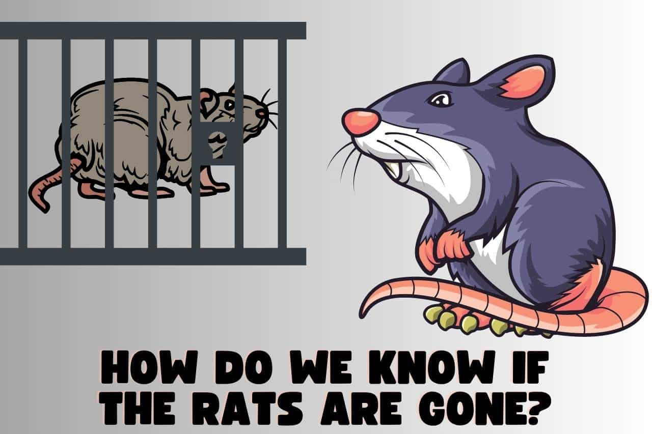 How Do We Know If the Rats are Gone