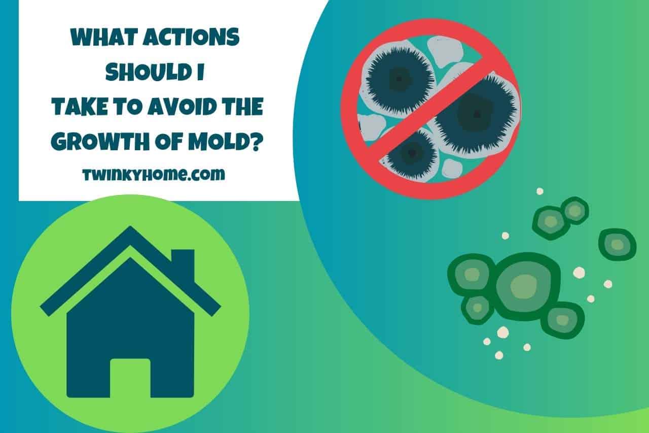 What Actions should I Take to Avoid the Growth of Mold