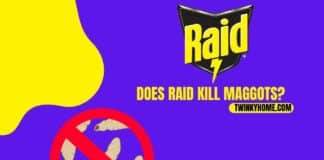 does raid kill maggots