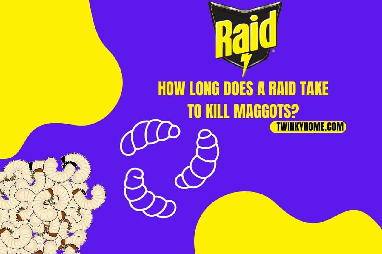 How Long does a Raid Take to Kill Maggots