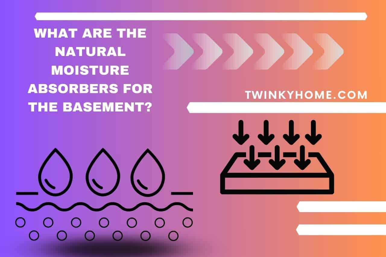 What are the Natural Moisture Absorbers for the Basement